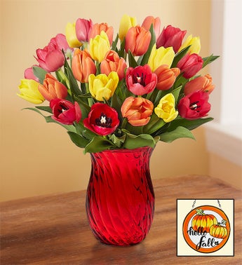 Assorted Fall Tulips