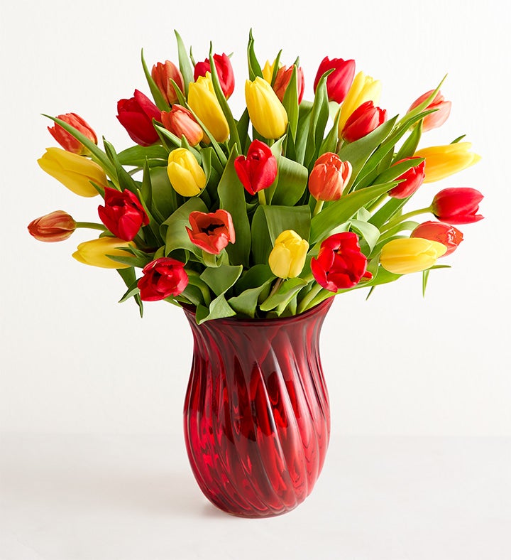 Our Favorite Fall Tulips™