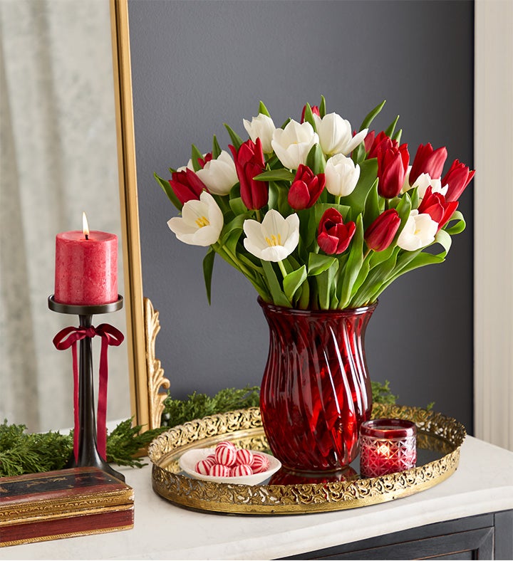 Holiday Tulips