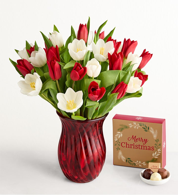Holiday Tulips™