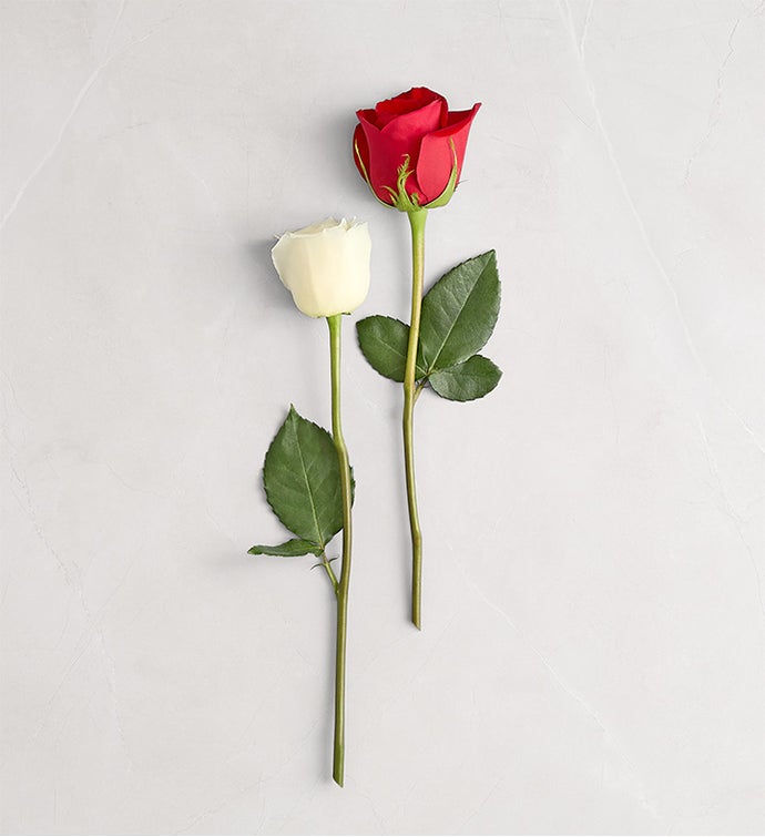 Peppermint Rose Bouquet™