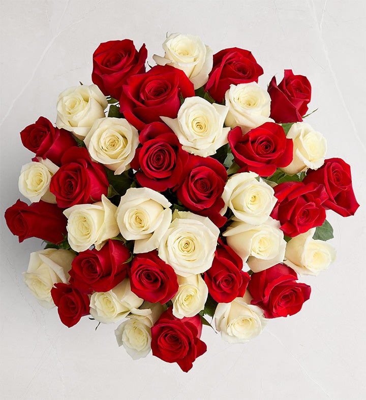 1-800-Flowers Flower Delivery Peppermint Rose Bouquet 36 Stems, Bouquet Only