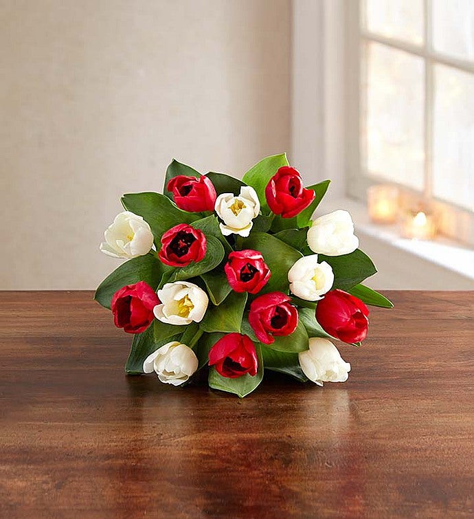 Holiday Tulips™