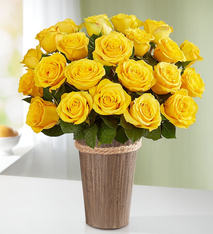 Yellow Roses