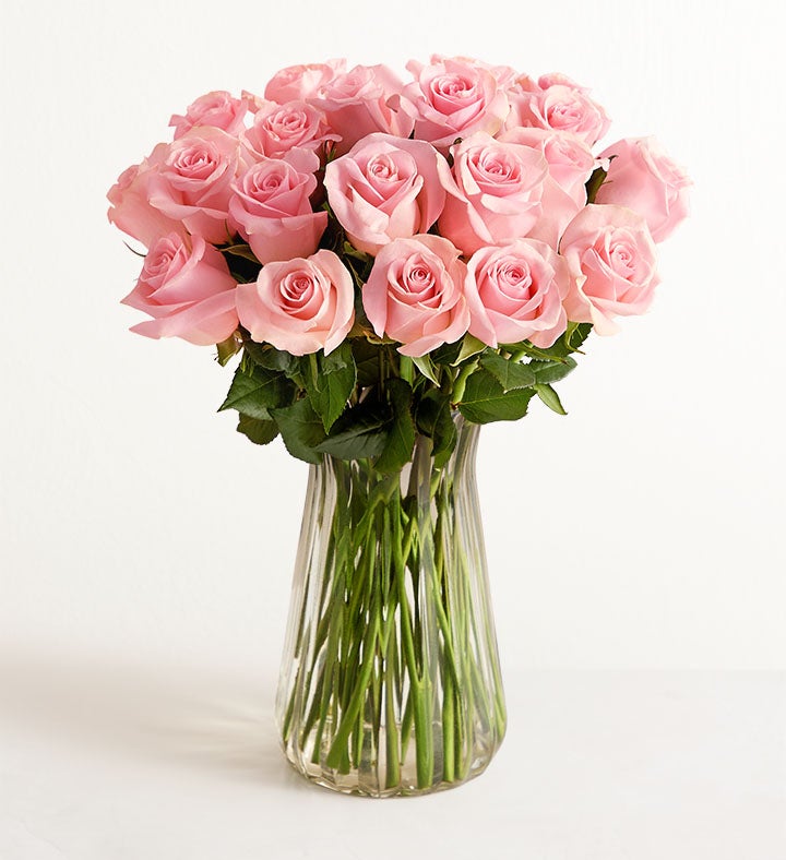 Pink Petal Roses