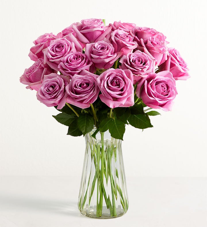 Double Your Blooms: Purple Roses