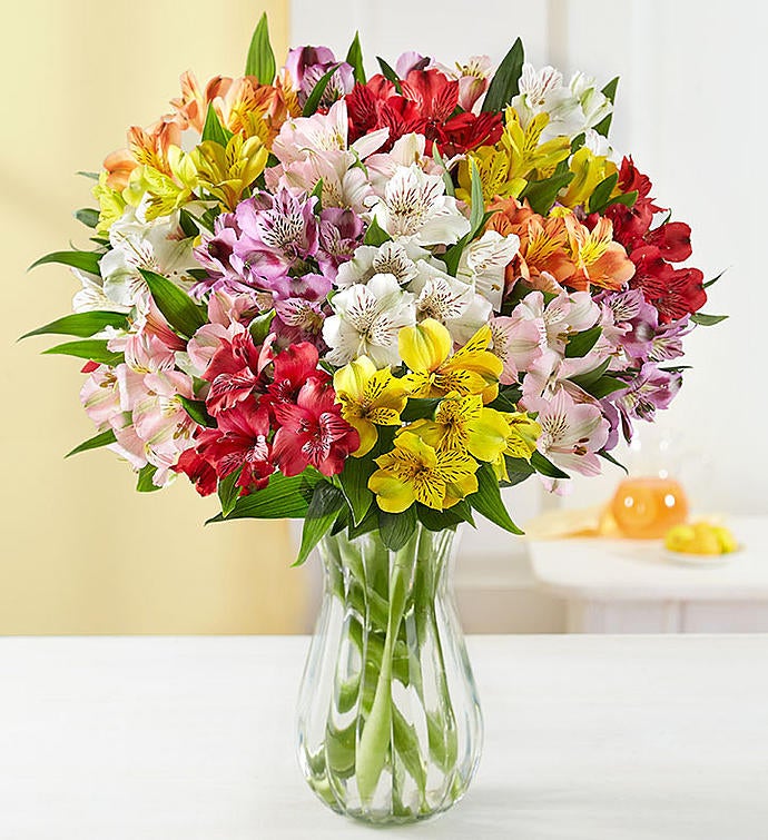 Send Birthday Flowers & Gifts to Canada 1800FLOWERS