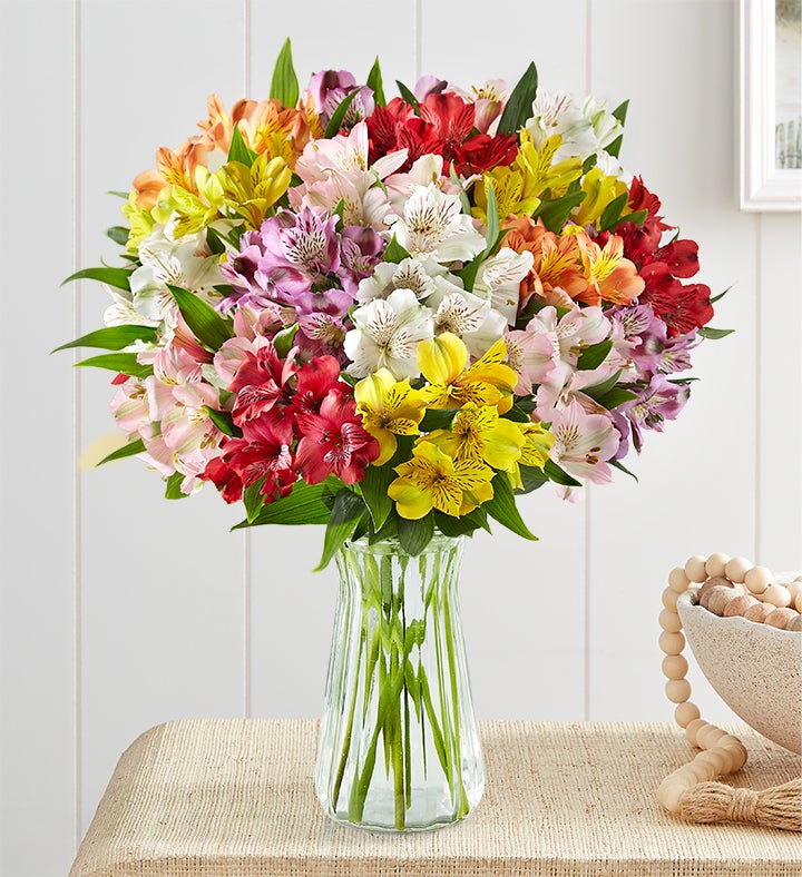 Peruvian Lilies