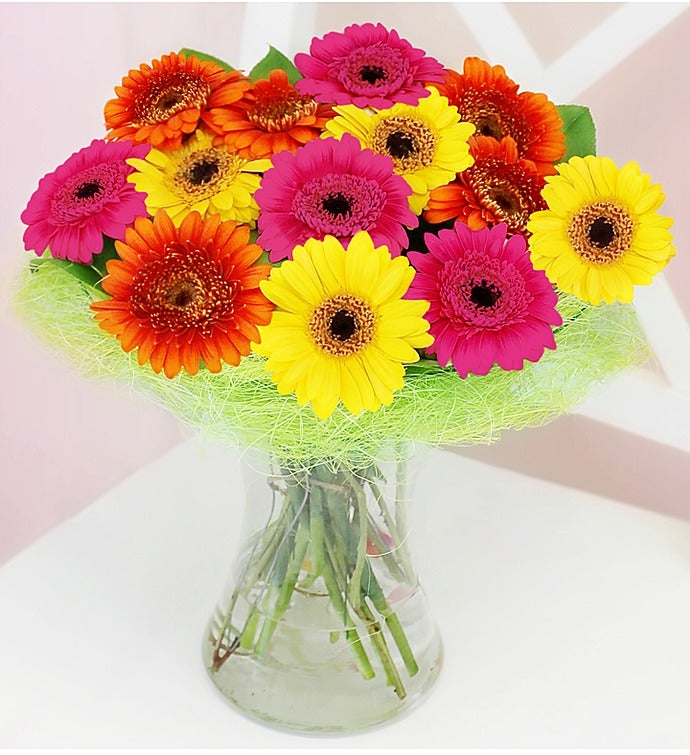 Germini Fresh Vibrant Flowers & Vase