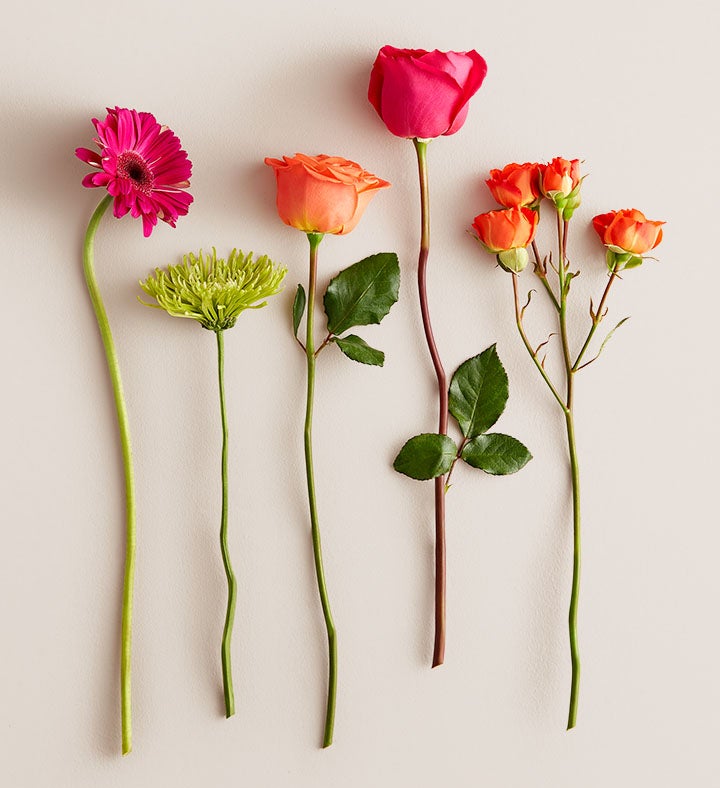 Vibrant Blooms Bouquet