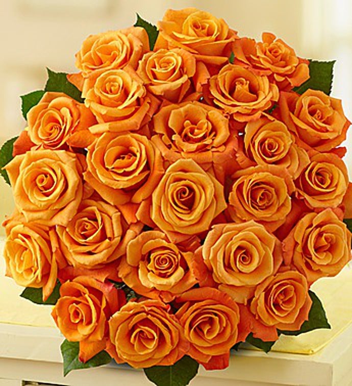 Two Dozen Orange Roses