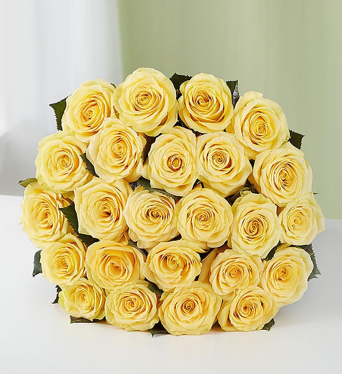 Two Dozen Yellow Roses