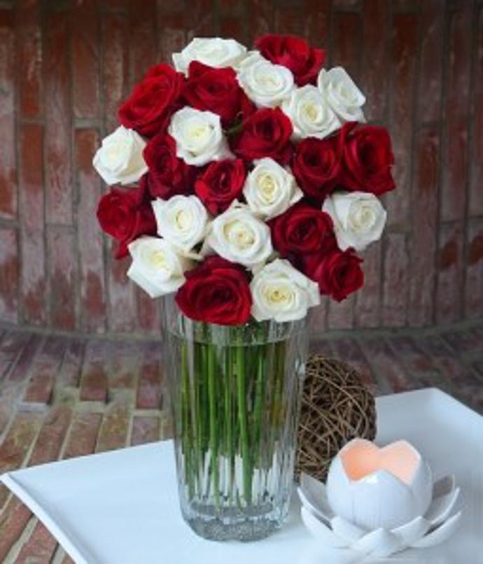 Two Dozen Red & White Combination Roses