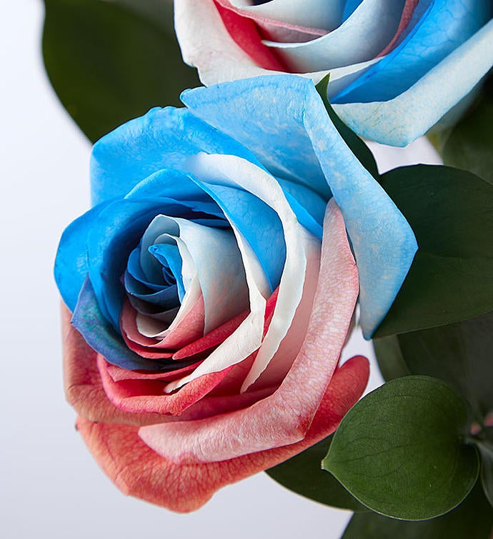 Kaleidoscope Roses - Red, White & Blue