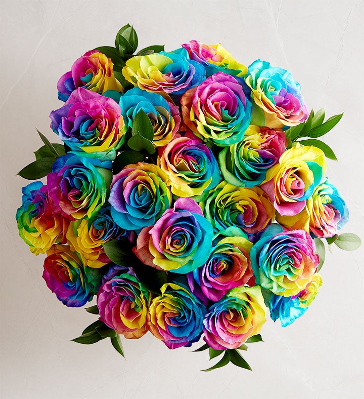Kaleidoscope Roses