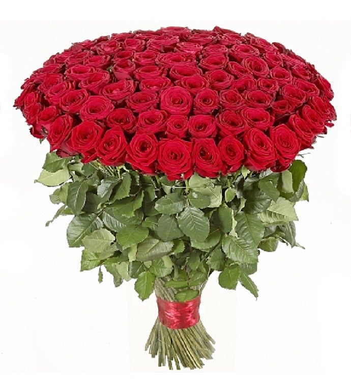100 Red Roses