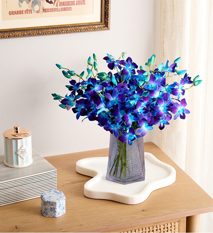 Ocean Breeze Orchids