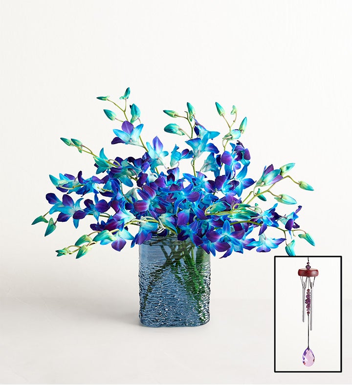 1-800-Flowers Flower Delivery Ocean Breeze Orchids 10 Stems W/ Blue Vase & Windchime