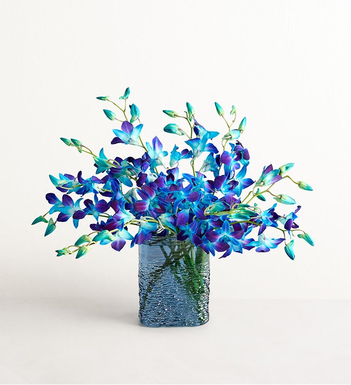 1-800-Flowers Flower Delivery Ocean Breeze Orchids 10 Stems W/ Blue Vase