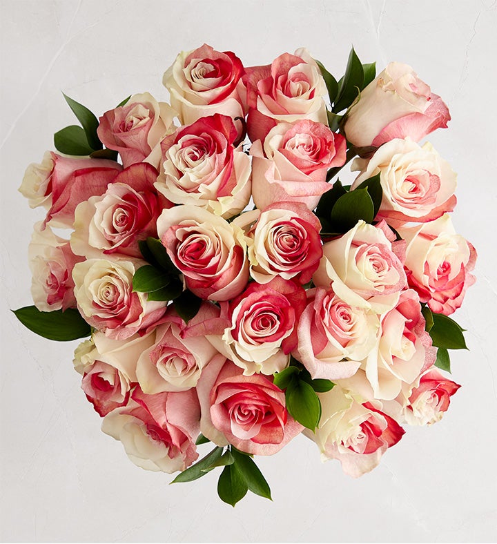 Red & White Kaleidoscope Roses