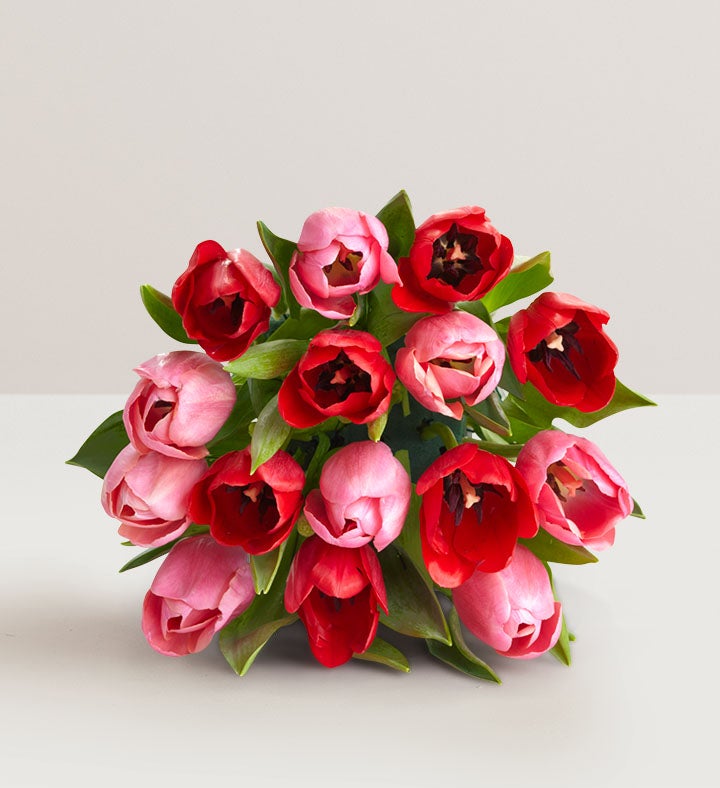 Sweetest Love Tulips