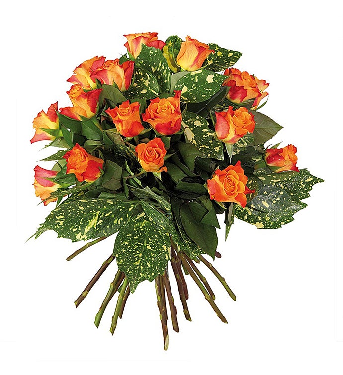 Bouquet of Orange Roses