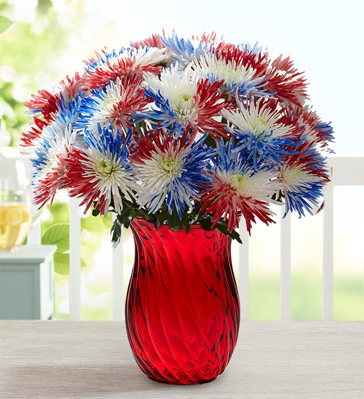 Firecracker Mums