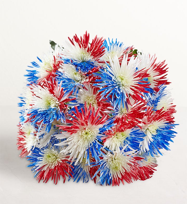 Firecracker Mums