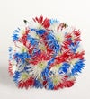 Firecracker Mums