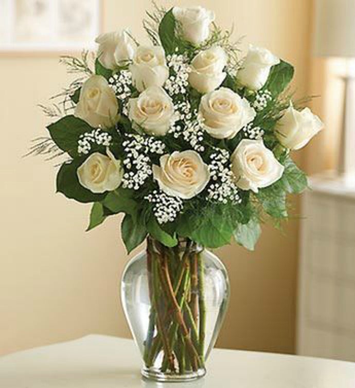 12 White Roses
