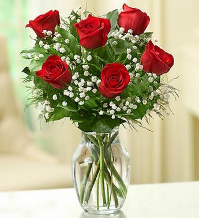 Six Red Roses