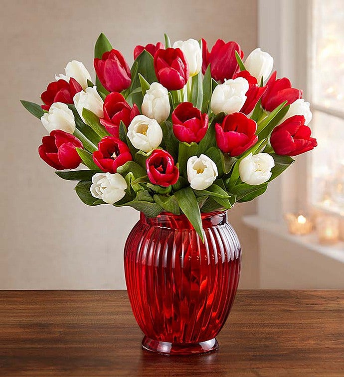 Holiday Tulips 15 Stems for $2...
