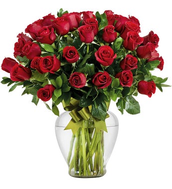 50 Red Roses
