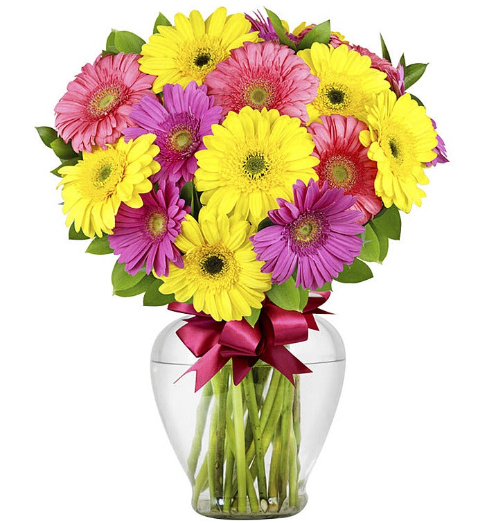 Send Flowers to Mexico Flowers and Gifts to Mexico