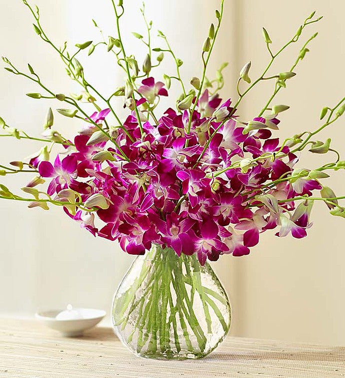 Orchid Delivery Orchid Bouquets Arrangements 1800flowers