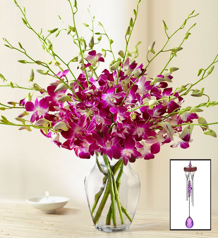 Orchid Delivery Orchid Bouquets Arrangements 1800flowers