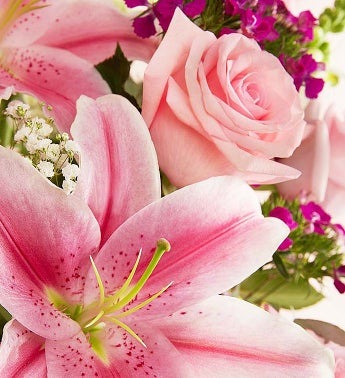 Arrangement of the Month