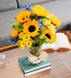 Fields Of Europe® Summer