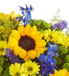 Fields Of Europe® Summer