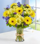 Fields Of Europe® Summer