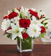 Healing Tears™ Red & White