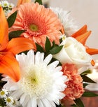 Healing Tears™ Peach, Orange & White