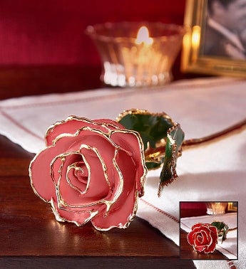 24K Gold Dipped Rose- Red or Pink
