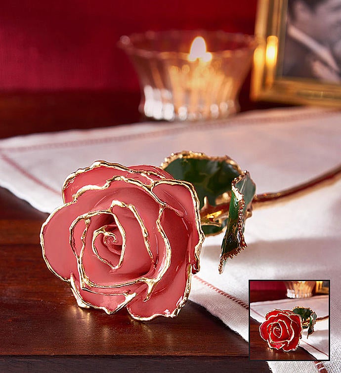24K Gold Dipped Rose- Red or Pink