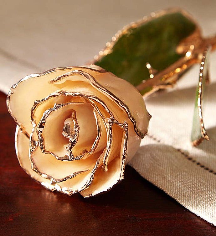 The Loving Rose- 24K Gold Dipped Rose