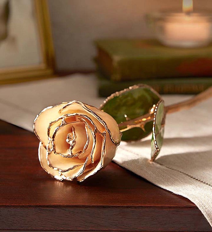 The Loving Rose  24K Gold Dipped Rose