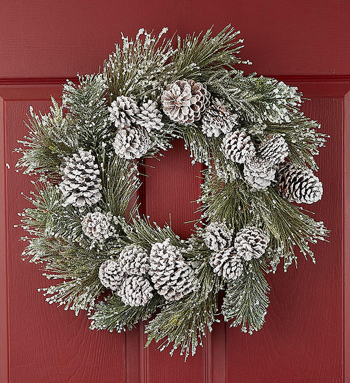Frosted Winter White Wreath- 24