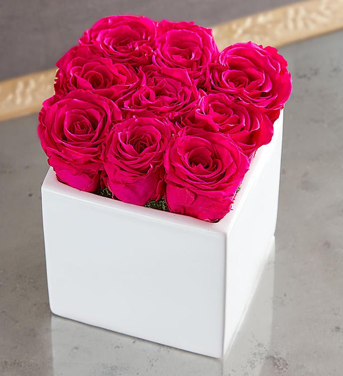 Preserved Pink Roses by Luxe Bloom® – Large
