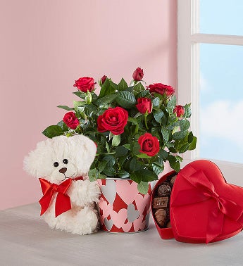 Love & Romantic Flowers and Gifts | 1800Flowers.com