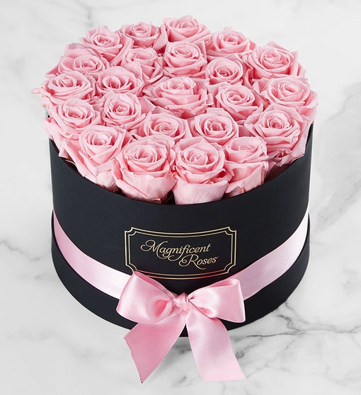 Magnificent Roses® Preserved Pink Roses from 1-800-FLOWERS.COM